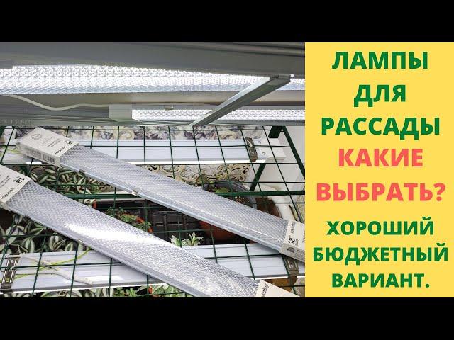 Какие лампы выбрать для выращивания качественной рассады. Все о подсветке для моих растений.