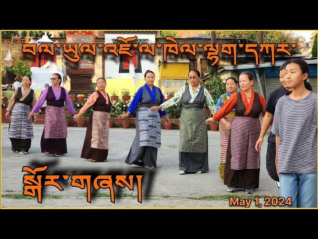 Kathmandu Lhakar Gorshey / བལ་ཡུལ་འཇོ་ཁེལ་ལྷག་དཀར་སྒོར་གཞས། Jawalakhel Settlement Nepal / 1 May 2024