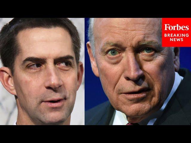 Tom Cotton Reacts To Dick Cheney's Endorsement Of Kamala Harris