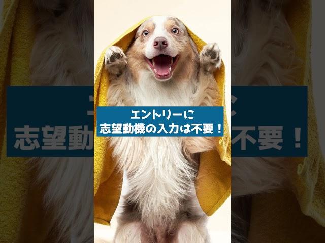 #shorts  障がい者雇用特化型の求人サイト「パラちゃんねる」のご紹介