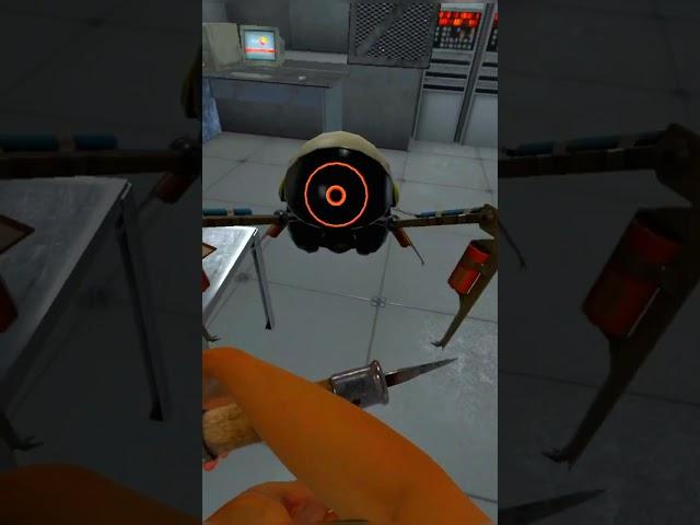 What the hell is this in Bonelab VR 