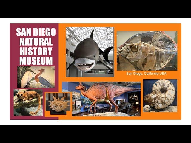 Natural History Museum San Diego tour #BalboaPark #SanDiego #California