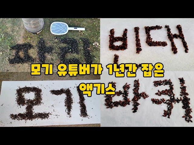 모기 유튜버가 23년 한 해 동안 잡은것들