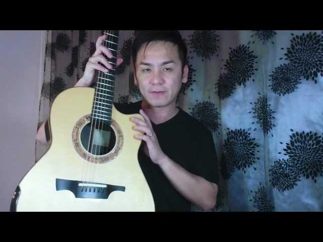 Greenfield G1 Mastergrade Alpine Spruce/Ziricote Guitar Review in Singapore