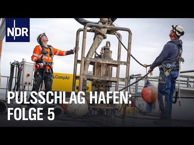 Zwischen Stahl und Wasser (E05) | Pulsschlag Hafen | NDR Doku