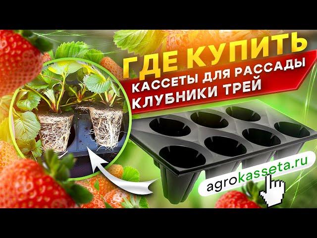 ГДЕ КУПИТЬ КАССЕТЫ ДЛЯ РАССАДЫ ТРЕЙ. ПРОМОКОД НА СКИДКУ от 7% до 30% в agrokasseta.ru