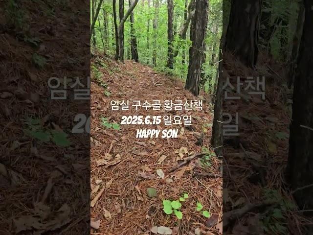 임실 구수골 황금 산책