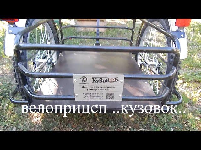 купил вело-прицеп КУЗОВОК #bought a bike trailer