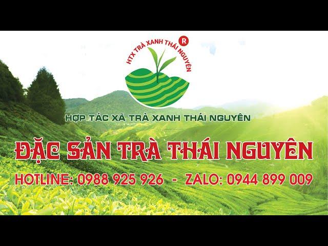 Giới thiệu Trà Tân Cương Thái Nguyên chính gốc