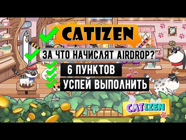 CATIZEN - За что НАЧИСЛЯТ AIRDROP? Все УСЛОВИЯ [$CATI]