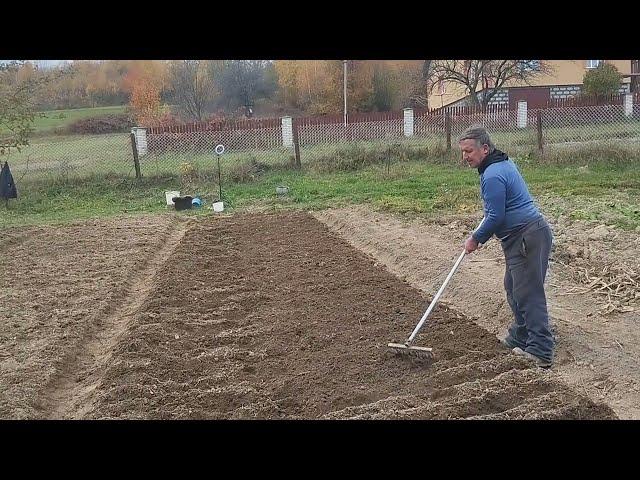  ПОСАДКА ЦИБУЛІ та МОРКВИ під ЗИМУ. Садимо з чоловіком удвох.