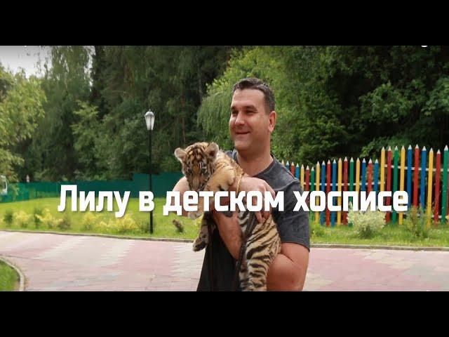 Документальный фильм "Лилу в детском хосписе"