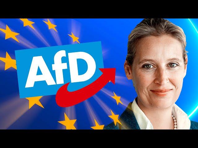 AfD Europawahlprogramm einfach erklärt | 2024