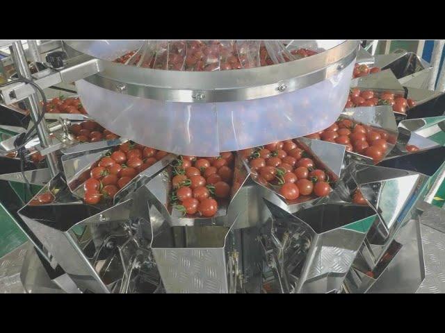 Cherry tomato tray packing line