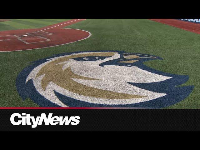 Riverhawks Attract interest from Pro leagues