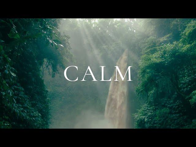 Relaxing Music for Stress Relief, Calm, Study | Beautiful Nature & Water Sounds