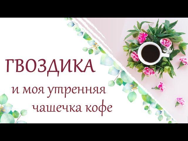 Как можно использовать эфирное масло гвоздики?  Польза эфирного масла гвоздики