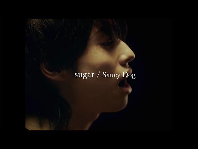 Saucy Dog「sugar」Music Video ＜5th Mini Album「レイジーサンデー」2021.8.25 Release＞