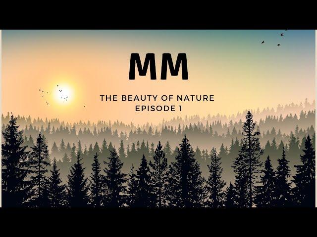 MOTIVATIONAL MONDAY - THE BEAUTY OF NATURE