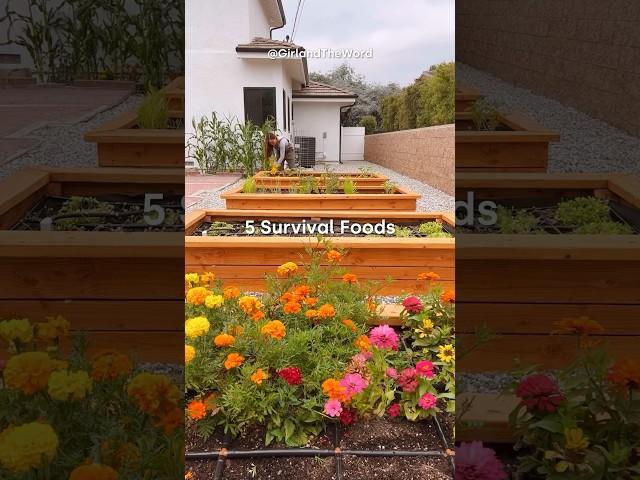 5 SURVIVAL FOODS TO GROW! 