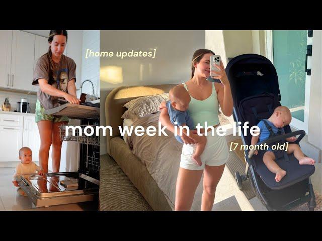 Regular SAHM week in the life   quick healthy lunch, first family dinner, new bed frame & rug!