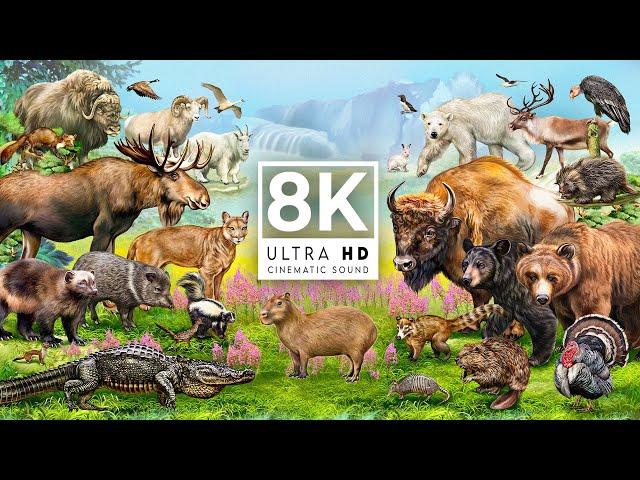 MAJESTIC CREATURES 8K ULTRA HD 120FPS | with Catchy Cinematic Music (color dynamic)