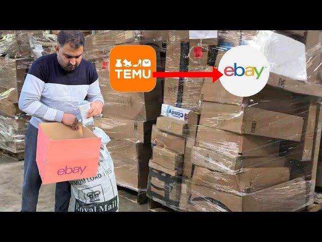 £23 Into £2676 Profit after selling these 5 items from Temu to eBay