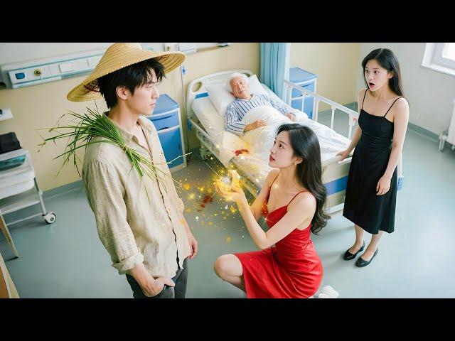 Thiên kim tỷ phú thuê trai quê giả làm chồng, nhưng thân phận thật lại là thần y vô danh