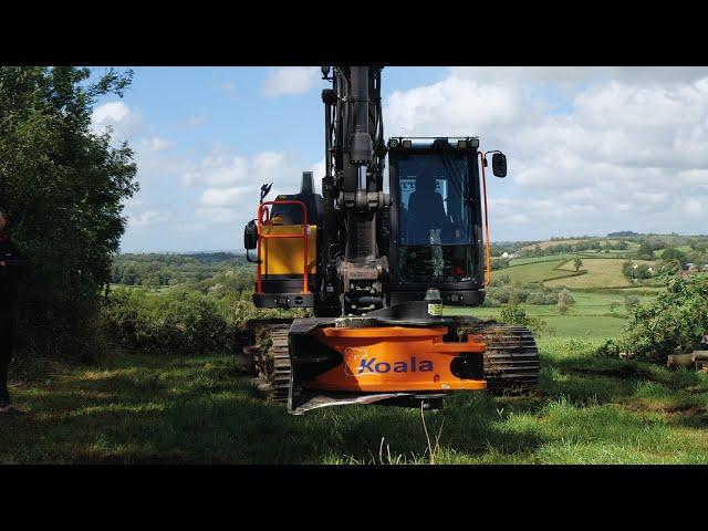 Cutting Trees with Koala 400 on Volvo EC140E