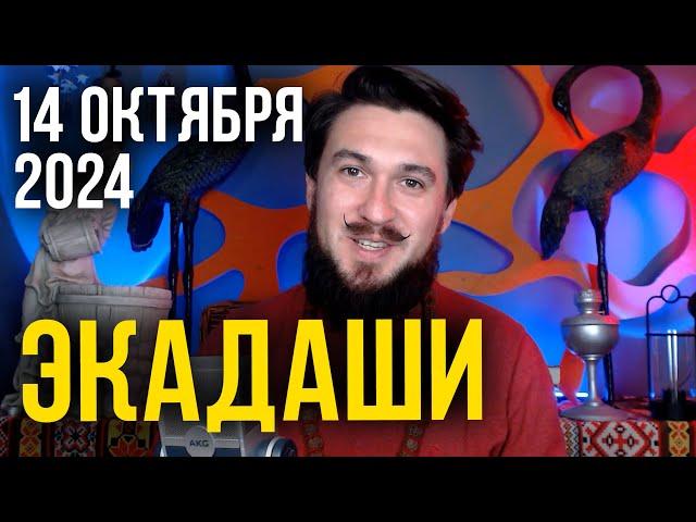 14 ОКТЯБРЯ ЭКАДАШИ - ПАШАНКУША ЭКАДАШИ КИР САБРЕКОВ 2024