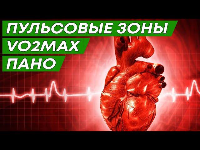 Пульсовые зоны. Аэроб и анаэроб. Пано. МПК (VO2 MAX)