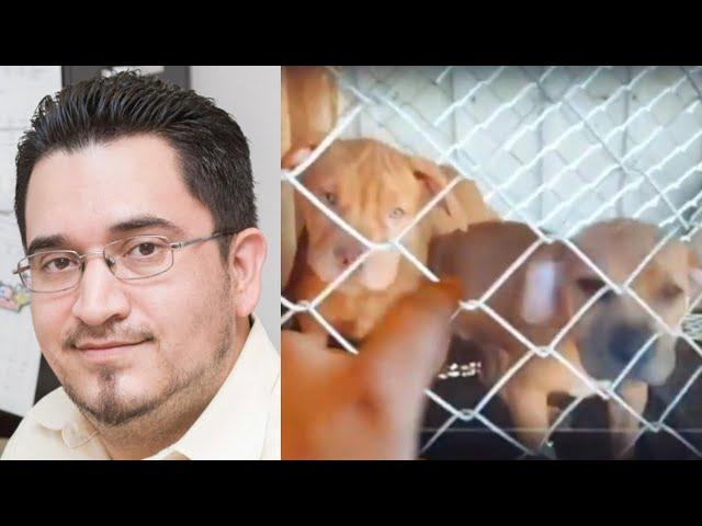 Luis Urias (Tony Montana APBT) goes after Southtown Kennel 4 month old Puppy