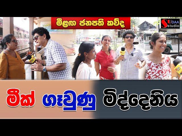 මීක් ගෑවුණු මිද්දෙනිය  | SUDAA STUDIO |