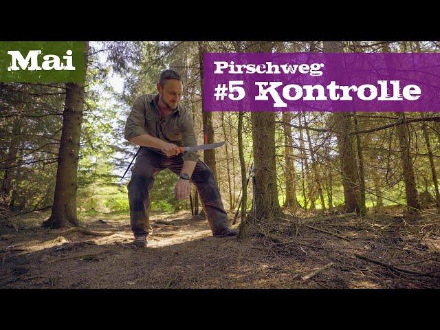 Pirschweg #5 Kontrolle | Mai | Ein Jagdjahr durchs Jagdrevier