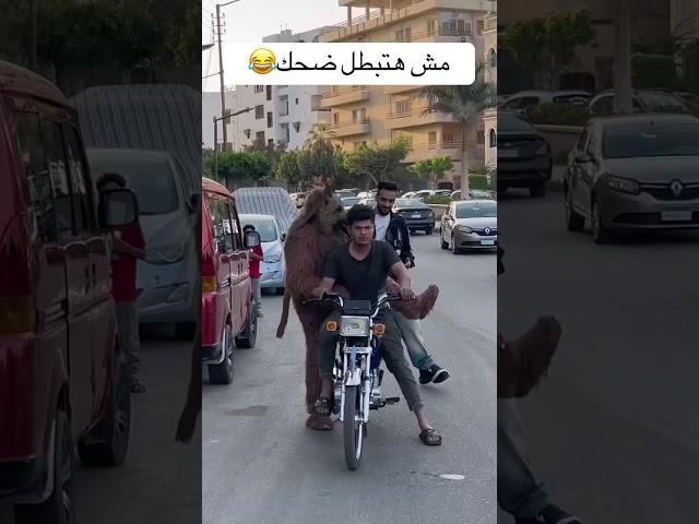 اضحك من قلبك #اضحك #ضحك #هتضحك #اكسبلور #كوميديات