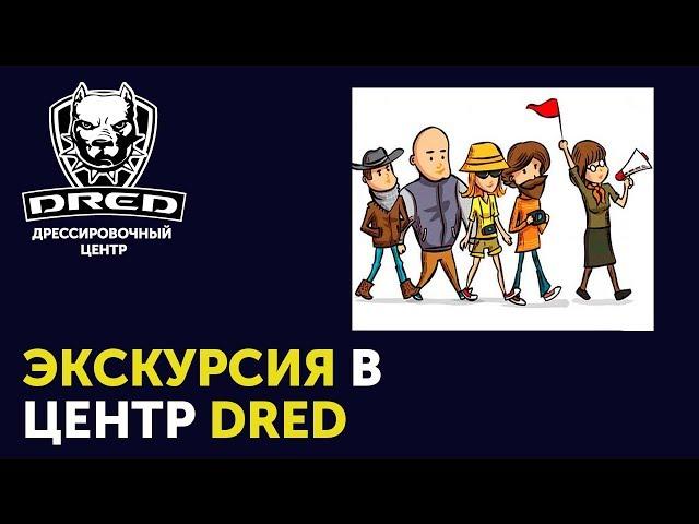Экскурсия в школу для собак DRED | Гостиница для собак