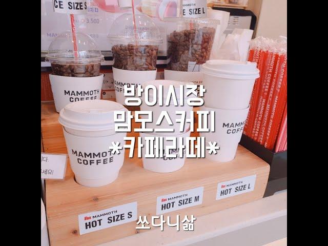 Cafe Vlog-56. [짧] 잠실/방이동 방이시장 매머드 익스프레스