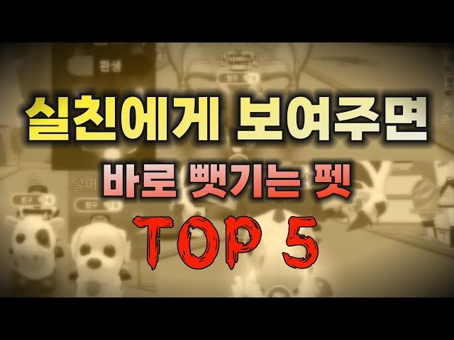 [입양하세요] 친구에게 자랑하기 좋은 펫 TOP5