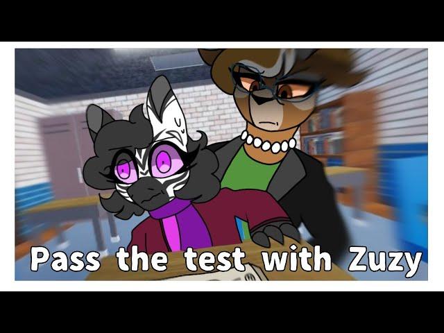 Pass the test with Zuzy (Piggy)