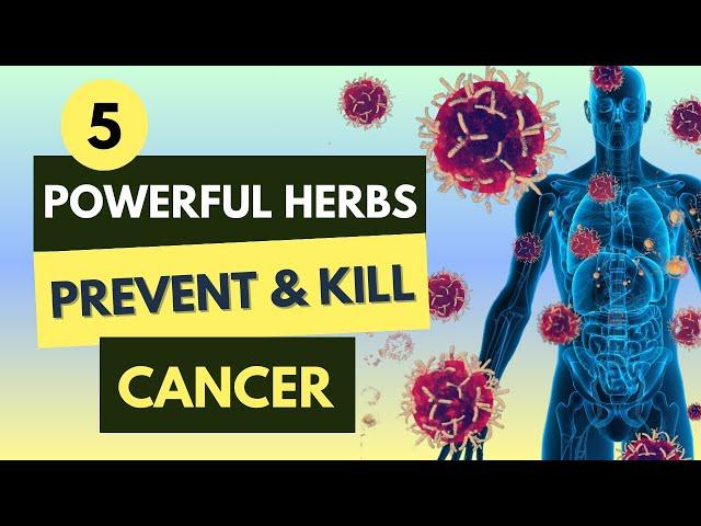 5 Powerful Herbs That Prevent And Kill Cancer