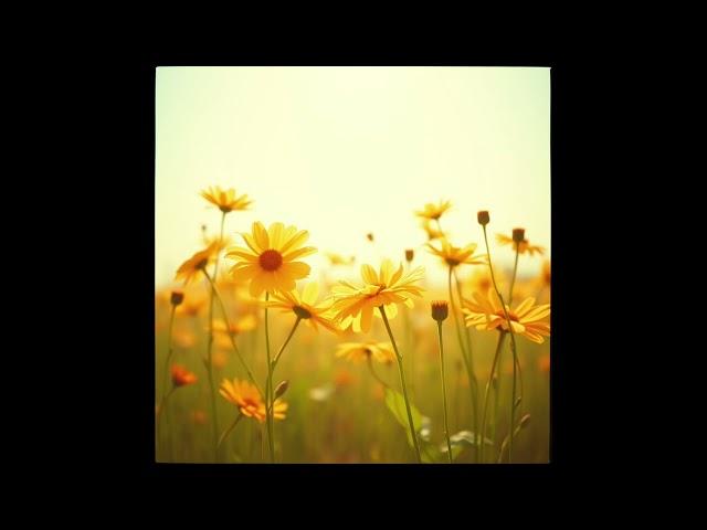여름 바람