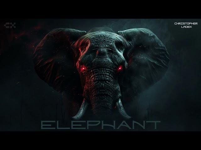 Christopher Ladex - ELEPHANT