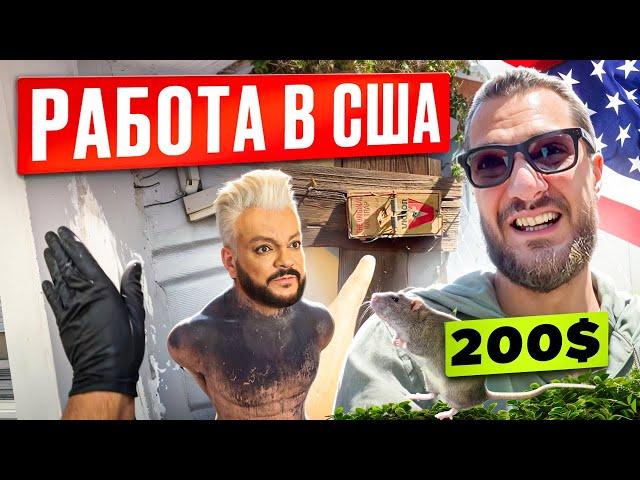 Работа в США