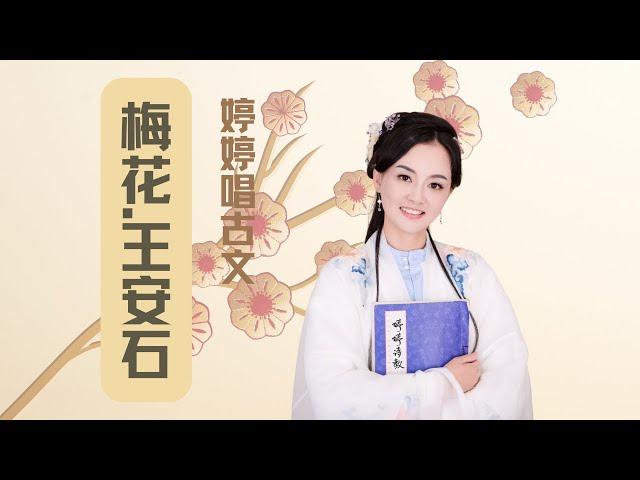 【婷婷唱古文】新歌发布《梅花》| 王安石 〔宋代〕| songci  poem 古诗吟唱 梅花 歌曲  儿歌 朗诵 诗歌赏析 | 墙角数枝梅，凌寒独自开