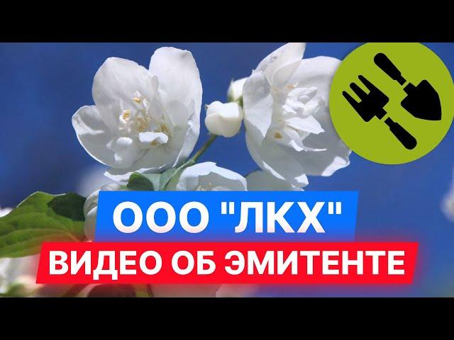 ООО "ЛКХ" — видео об эмитенте. #облигации #инвестиции #диалот
