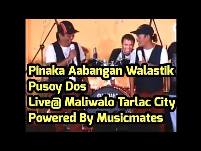 Pusoy Dos LIVE @ MALIWALO TARLAC CITY ( POWERED BY MUSICMATES )