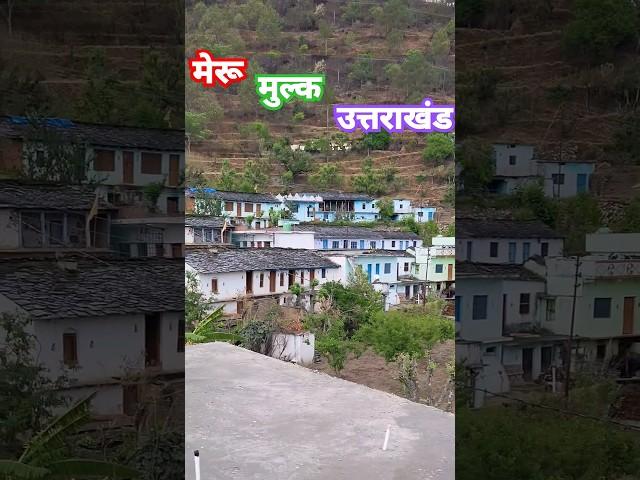 Subscribe #trending #shortvideo #uttarakhand #kumauni #negi