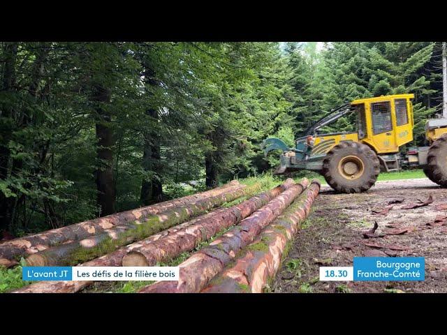 L'avant JT - En Franche-Comté, la filière bois planche sur son avenir