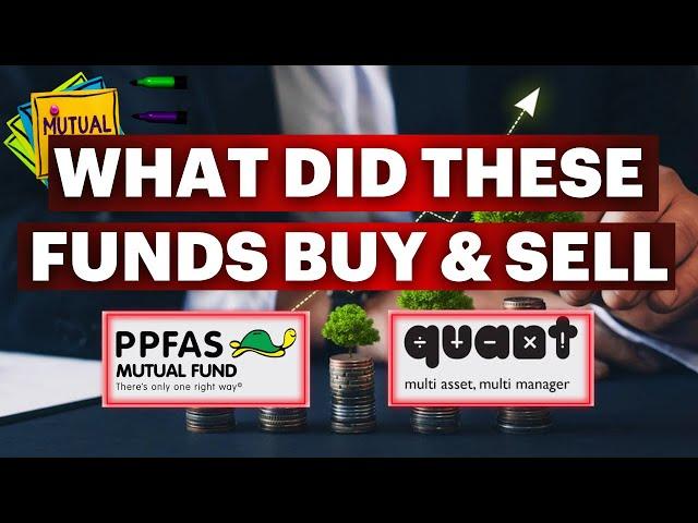 Comparing Parag Parikh & Quant Flexi Cap Funds: What Did They Buy & Sell In November 2024