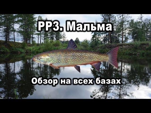 Русская Рыбалка 3. Мальма. Обзор на всех базах